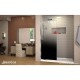 Linea Ombre Shower Door