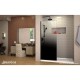 Linea Ombre Shower Door