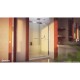 Essence-H Frameless Bypass Shower Door